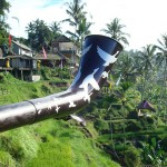 Bali - 2010