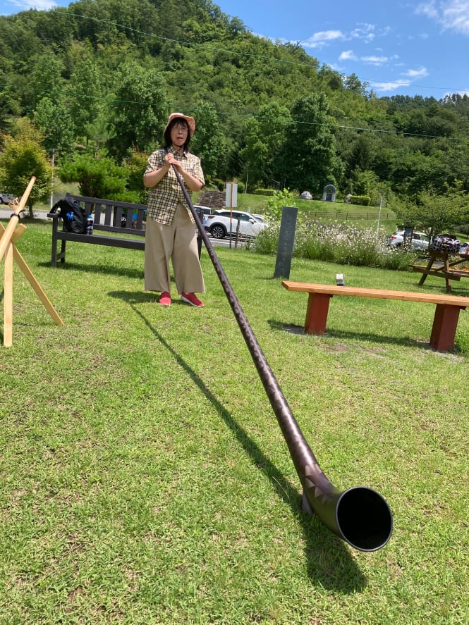 The AlpFlyingHorn in Japan