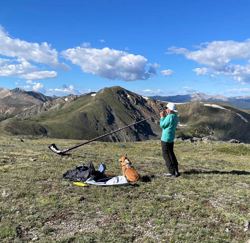 swiss carbon alphorn - colorado