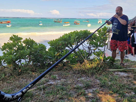 tanzanie zanzibar - swiss carbon alphorn