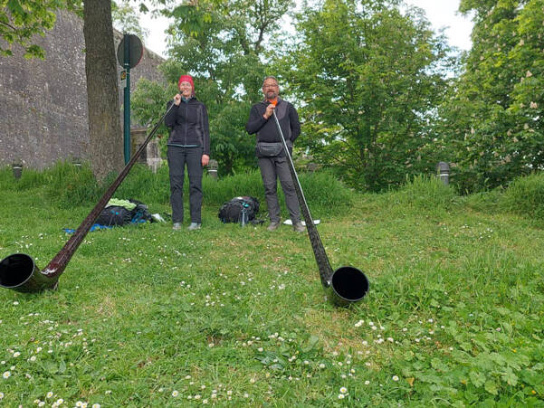 swisscarbonalphorn france