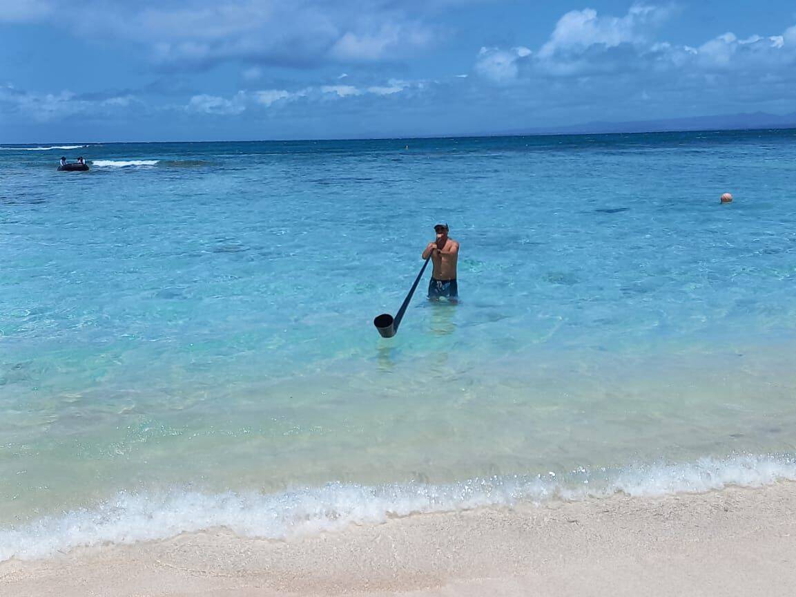 C. S. - ile maurice - swiss carbon alphorn