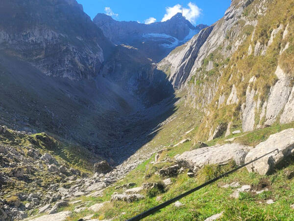 swiss carbon alphorn montagne