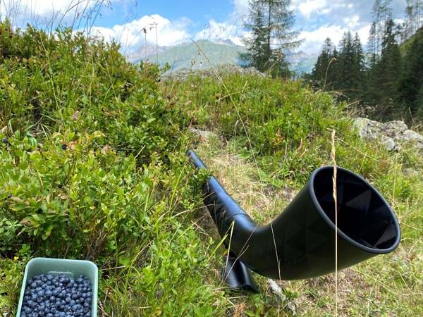 swisscarbon alphorn heidelbeeren