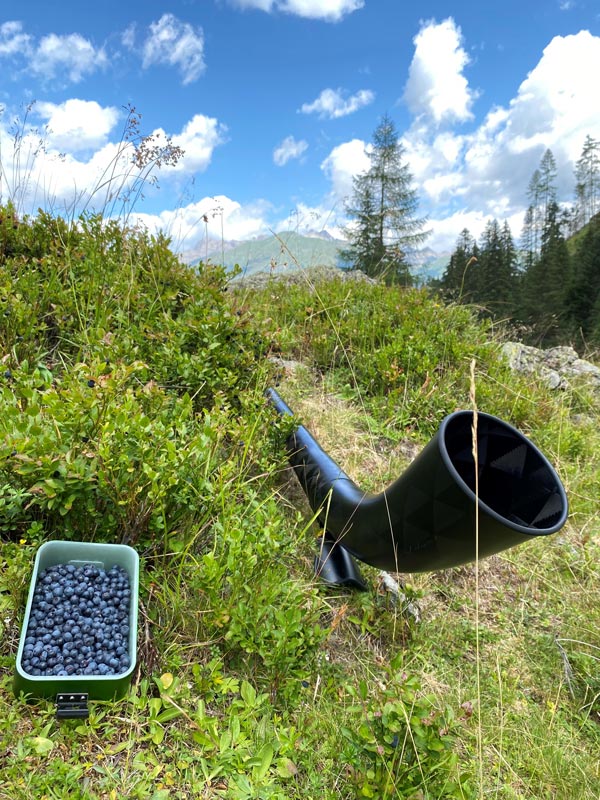 swisscarbon alphorn heidelbeeren